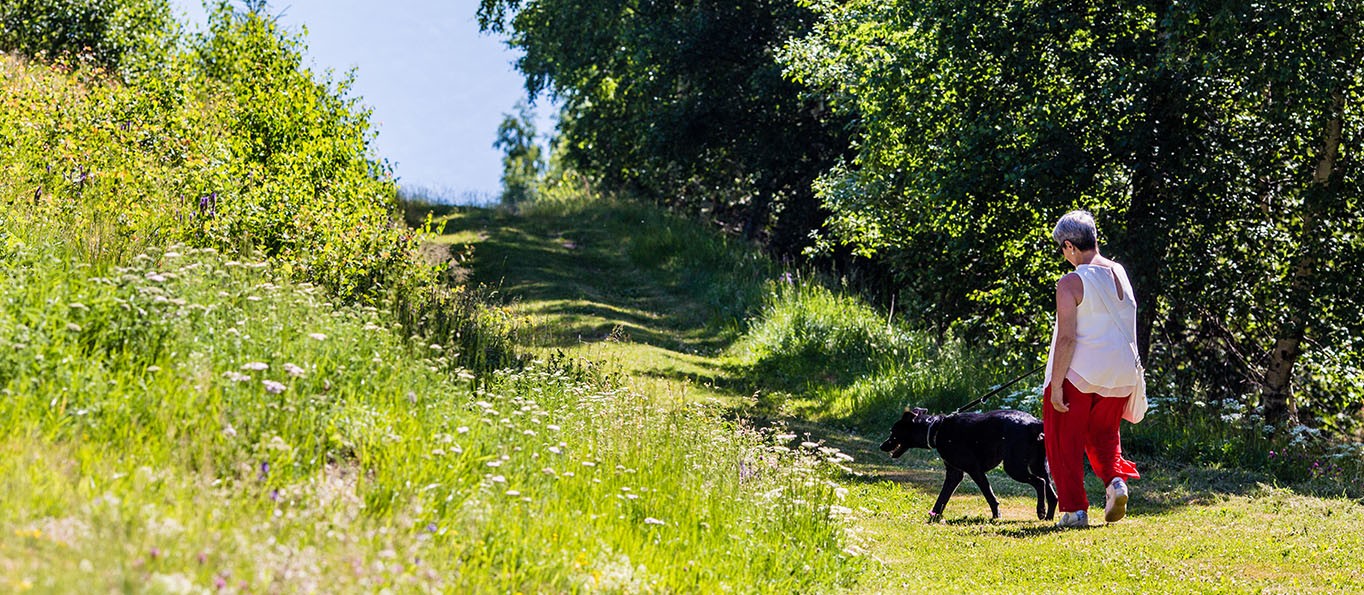 estate_0000_Residence Stefania Luglio 2019-66